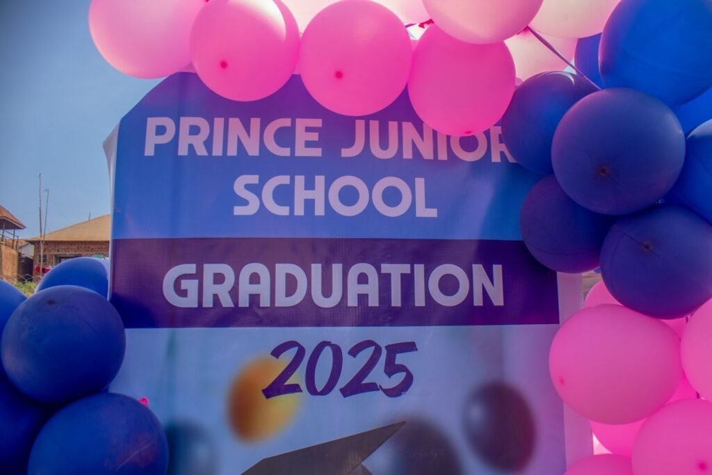 Img 00339019714045167579335 1024x683